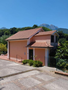 VILLA VICINUS - 120 mq - parking - garden